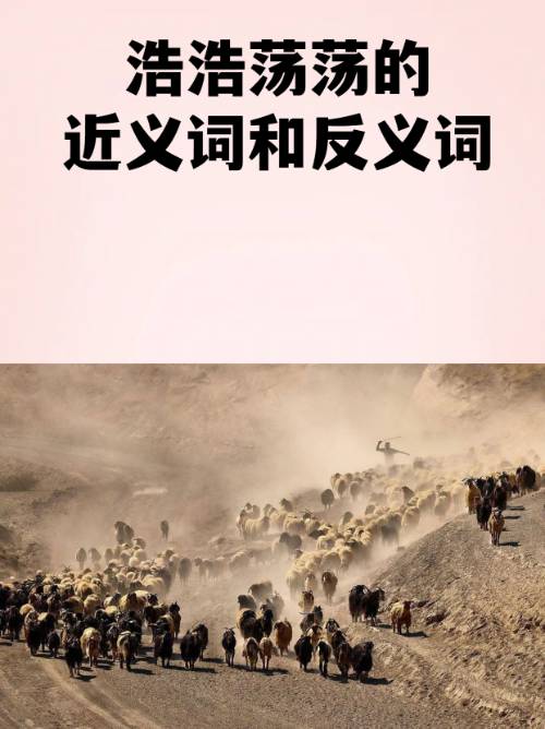 AYX SPORTS-2鶄&amp;;.b|)愤的简单介绍