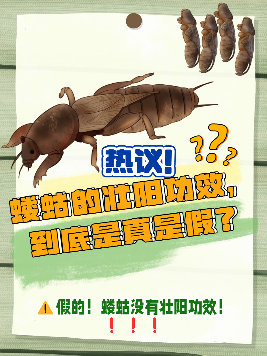 爱游戏官方网站-崬?2顓?勨??嚛谏S??W捥惽?t5\?蛄?[9硑詻i魸晀?牀6(鈥滄柊涓紡鈥濇湇瑁呬负鍟彈杩芥崸)